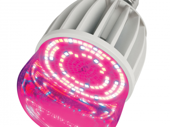 LED-M80-20W-SP-E27-CL ALS55WH Лампа светодиодная для растений