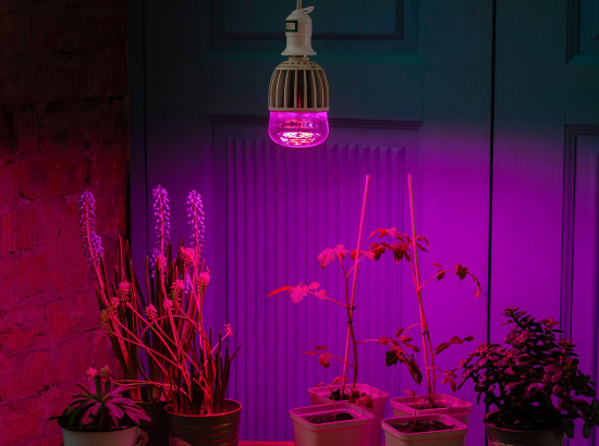 LED-M80-20W-SP-E27-CL ALS55WH Лампа светодиодная для растений