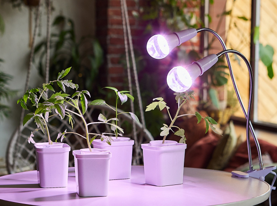LED-A60-10W-SPFR-E27-CL PLP01WH Лампа светодиодная для растений