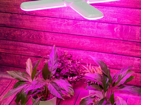 LED-P65-32W-SPSB-E27-FR-P4 PLP32WH Лампа светодиодная для растений