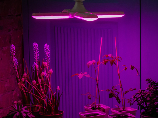 LED-P65-32W-SPSB-E27-FR-P4 PLP32WH Лампа светодиодная для растений