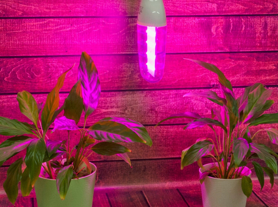 LED-B82-12W-SPBR-E27-CL PLP33WH Лампа светодиодная для растений