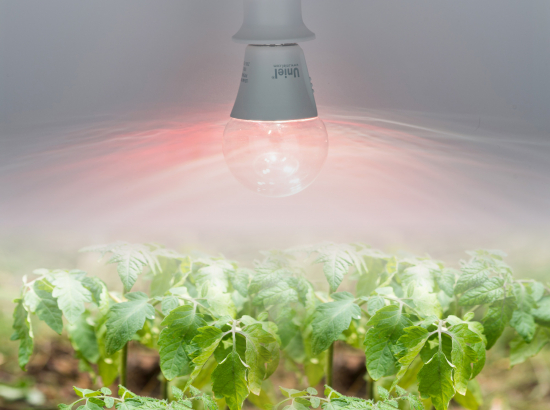 LED-A60-10W-SPM3-E27-CL PLP35WH MULTIPLANT Лампа для растений