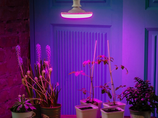 LED-U150-16W-SPSB-E27-FR PLP30WH Лампа светодиодная для растений