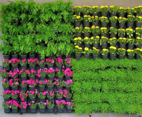 Вертикальная капельная панель для растений Ботанический сад  — Купить