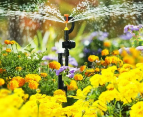 Система дождевания Расцветайка  — Купить