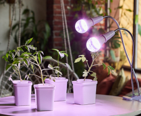 LED-A60-10W-SPFR-E27-CL PLP01WH Лампа светодиодная для растений  — Купить