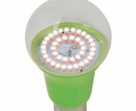 LED-A60-15W-SPSB-E27-CL PLP30GR Лампа светодиодная для растений  — Купить