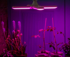 LED-P65-32W-SPSB-E27-FR-P4 PLP32WH Лампа светодиодная для растений  — Купить