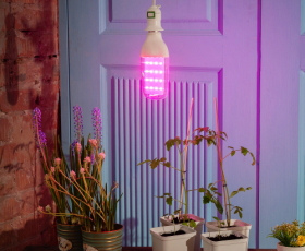 LED-B82-12W-SPBR-E27-CL PLP33WH Лампа светодиодная для растений  — Купить
