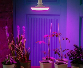 LED-U150-16W-SPSB-E27-FR PLP30WH Лампа светодиодная для растений  — Купить