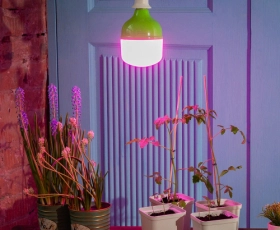 LED-M80-20W-SPSB-E27-FR PLS55GR Лампа светодиодная для растений  — Купить