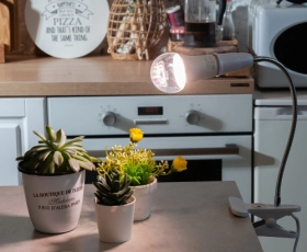 LED-A60-10W-SPFB-E27-CL PLP30WH Лампа светодиодная для растений  — Купить