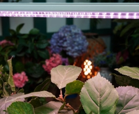 ULI-P13-24W-SPLE IP40 WHITE Светильник для растений светодиодный линейный  — Купить