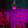 LED-M80-20W-SP-E27-CL ALS55WH Лампа светодиодная для растений — Купить