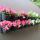 Вертикальная капельная панель для растений Ботанический сад — Купить
