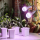 LED-A60-10W-SPFR-E27-CL PLP01WH Лампа светодиодная для растений — Купить