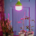 LED-M80-20W-SPSB-E27-FR PLS55GR Лампа светодиодная для растений — Купить