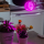 LED-A60-15W-SPSB-E27-CL PLP30WH Лампа светодиодная для растений — Купить