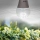 LED-A60-10W-SPM3-E27-CL PLP35WH MULTIPLANT Лампа для растений — Купить